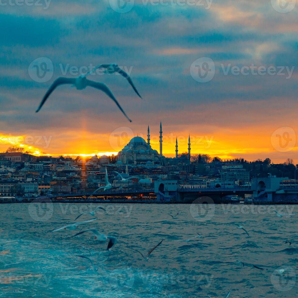 istanbul bakgrund fyrkant formatera Foto. suleymaniye moské och seagulls foto