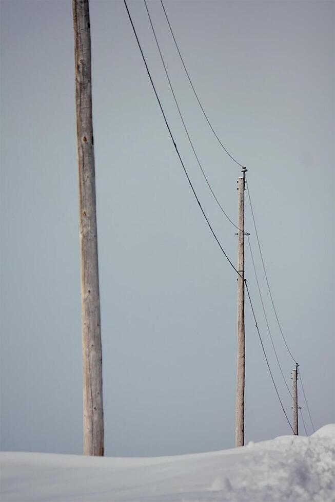 de posta trio foto