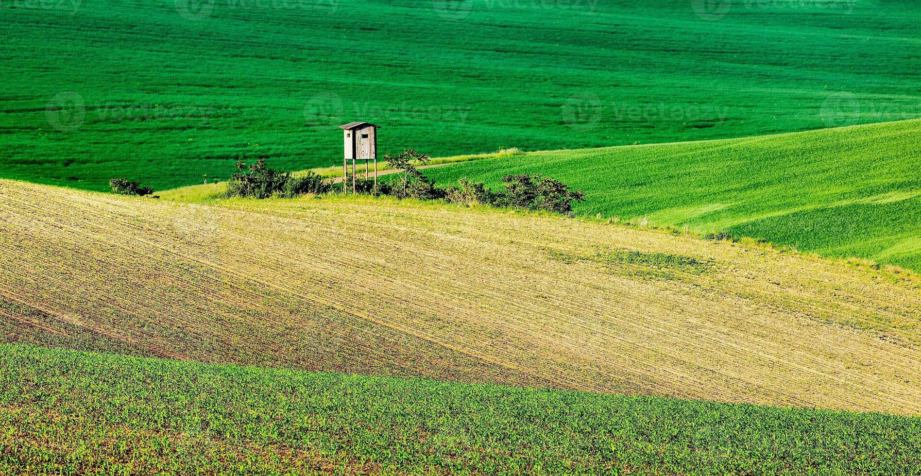 moraviska rullande landskap med jakt torn hydda foto