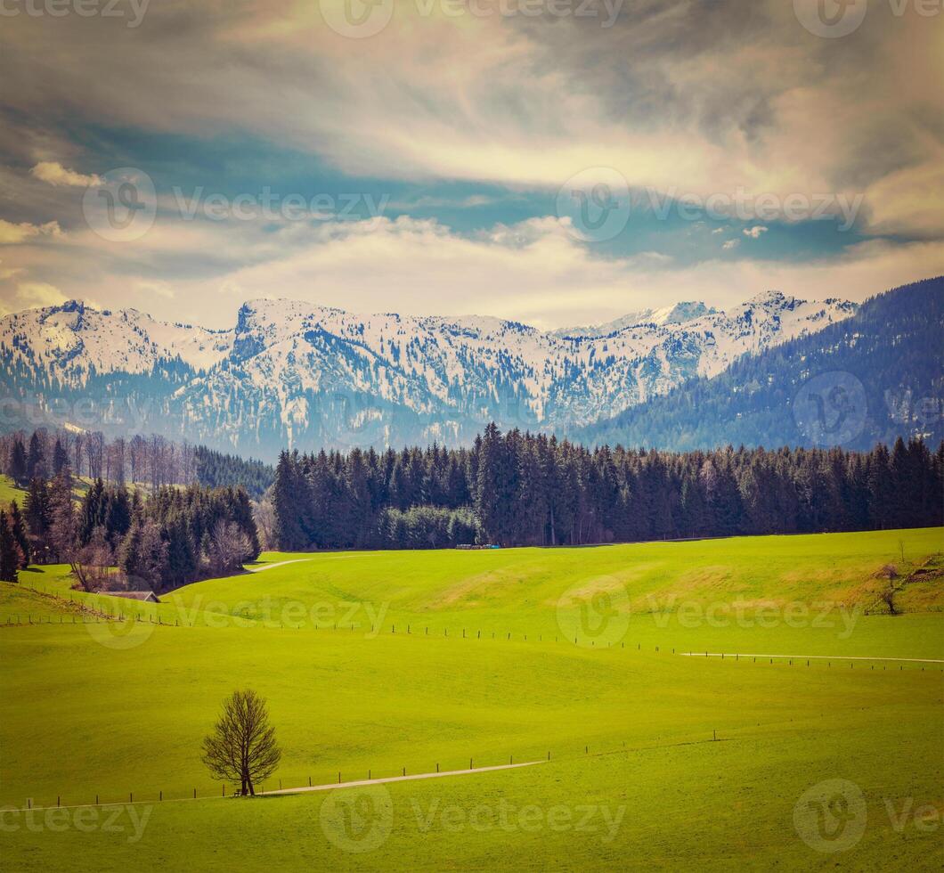 tysk idyllisk pastoral landsbygden i vår med alps foto