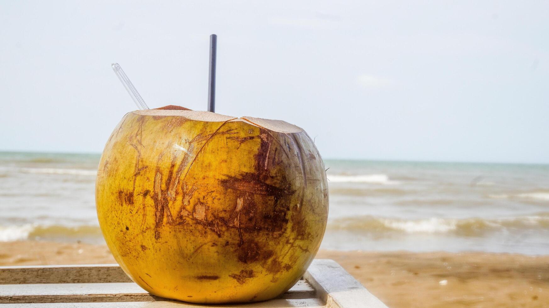 en kokosnötter nära de strand foto