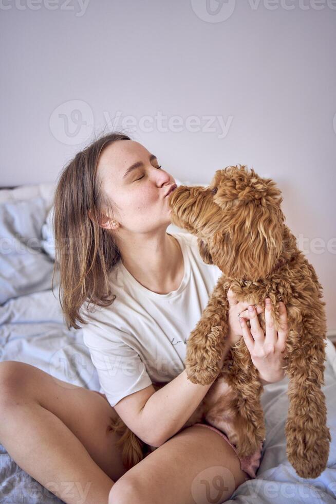 ung kvinna spelar och kissing cockapoo flicka på säng, minimalism foto