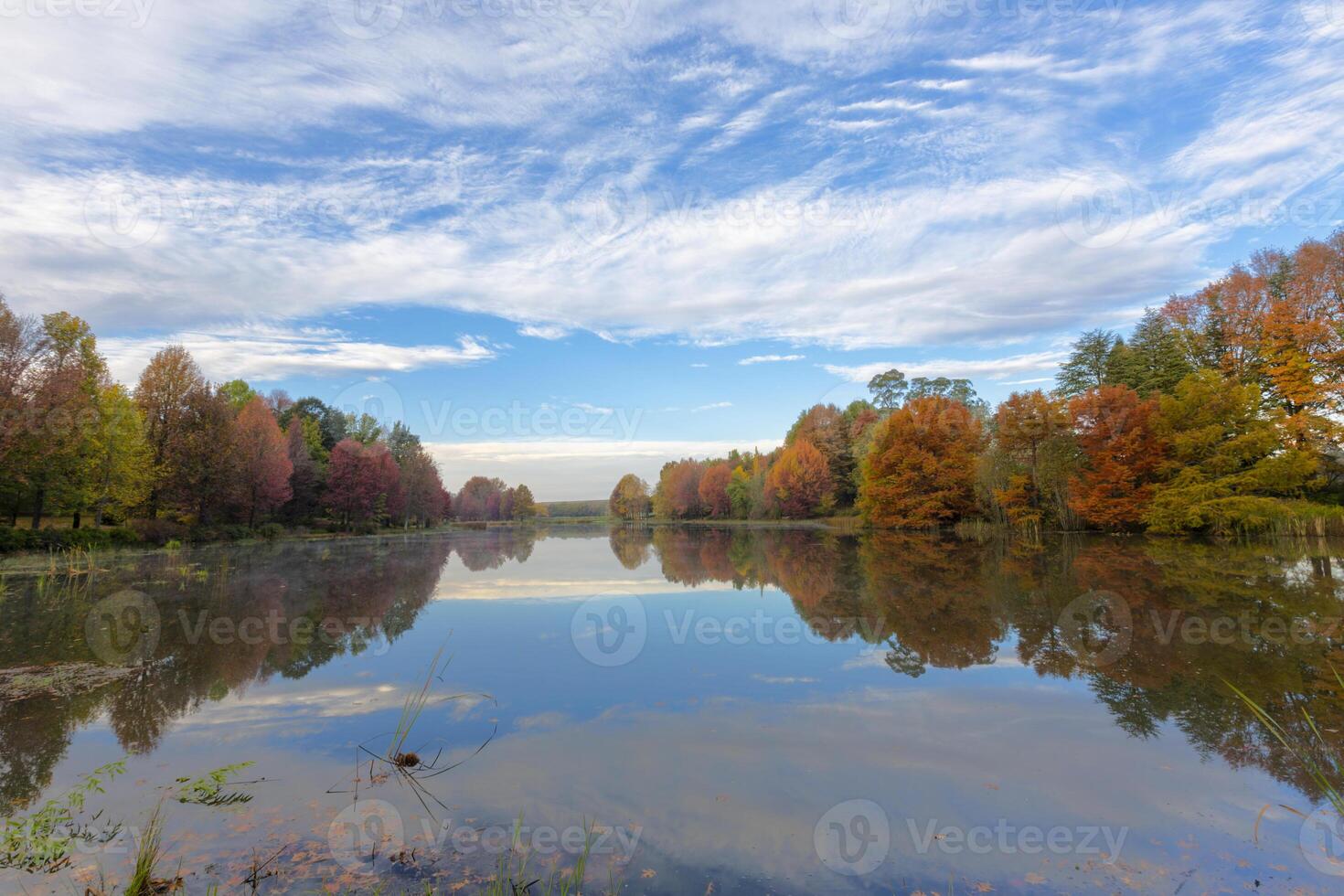 höst färgad träd reflexion på de vatten foto