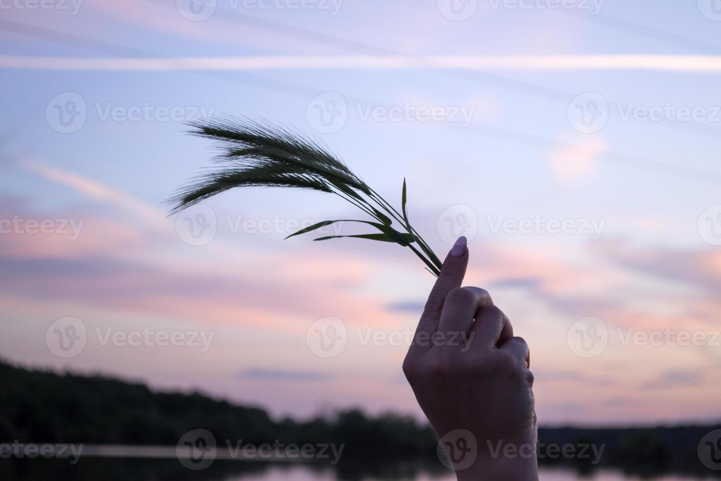 Småax i en kvinnas hand mot naturskön solnedgång foto