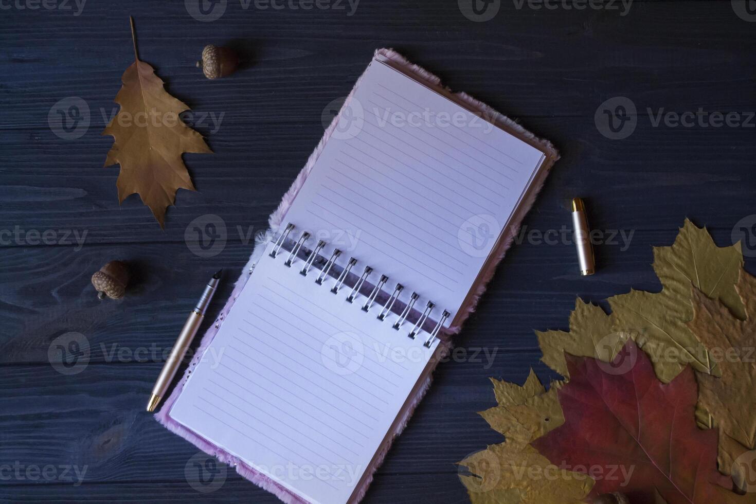 öppnad anteckningsbok, penna och torr ek löv på en blå trä- tabell. foto