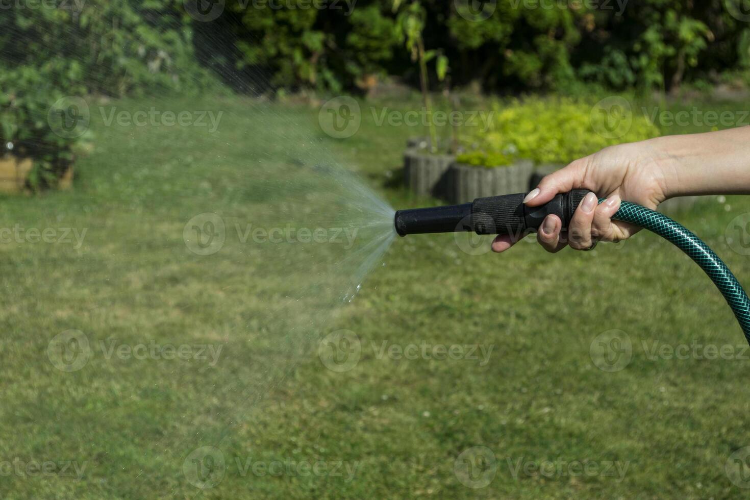 vatten besprutning från en trädgård slang i kvinnas hand. foto