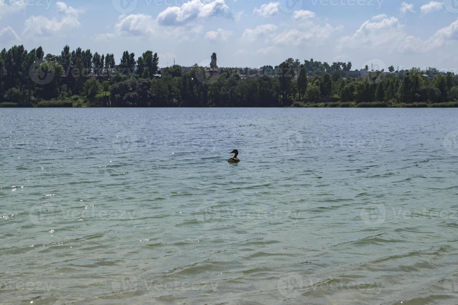 skön blå sjö. sommar landskap. de skönhet av natur. foto