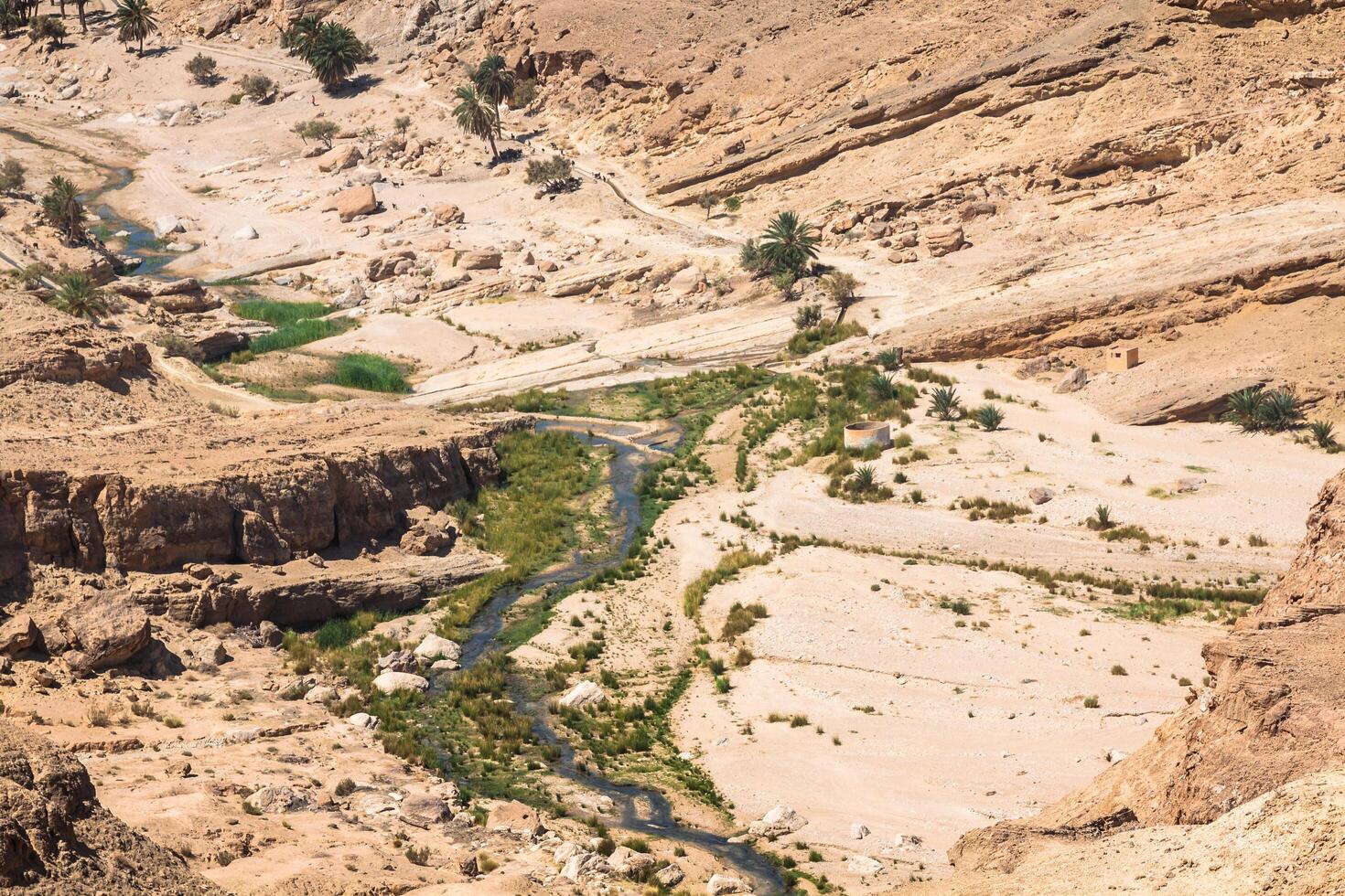 berg oas tamerza i tunisien nära de gräns med Algeriet. foto