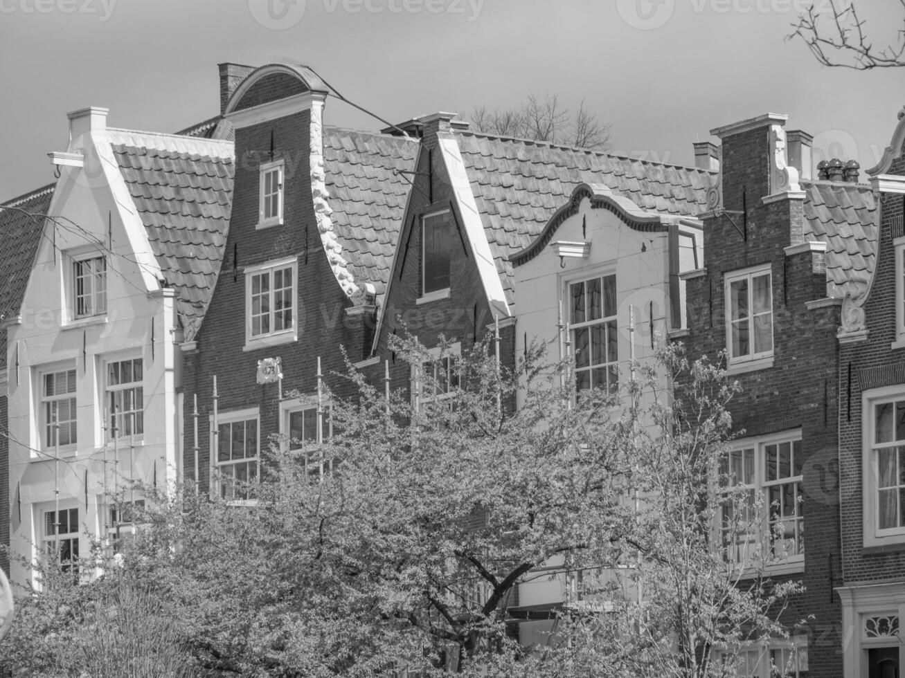 amsterdam i nederländerna foto