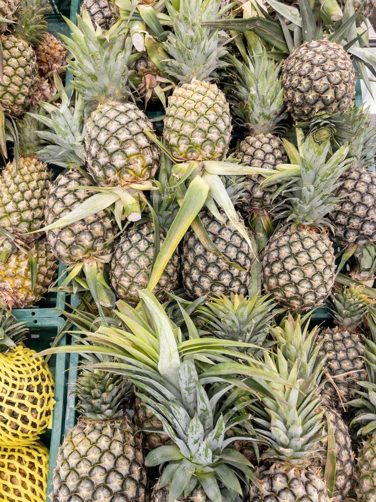 de många mogen ananas i de plast bricka. foto