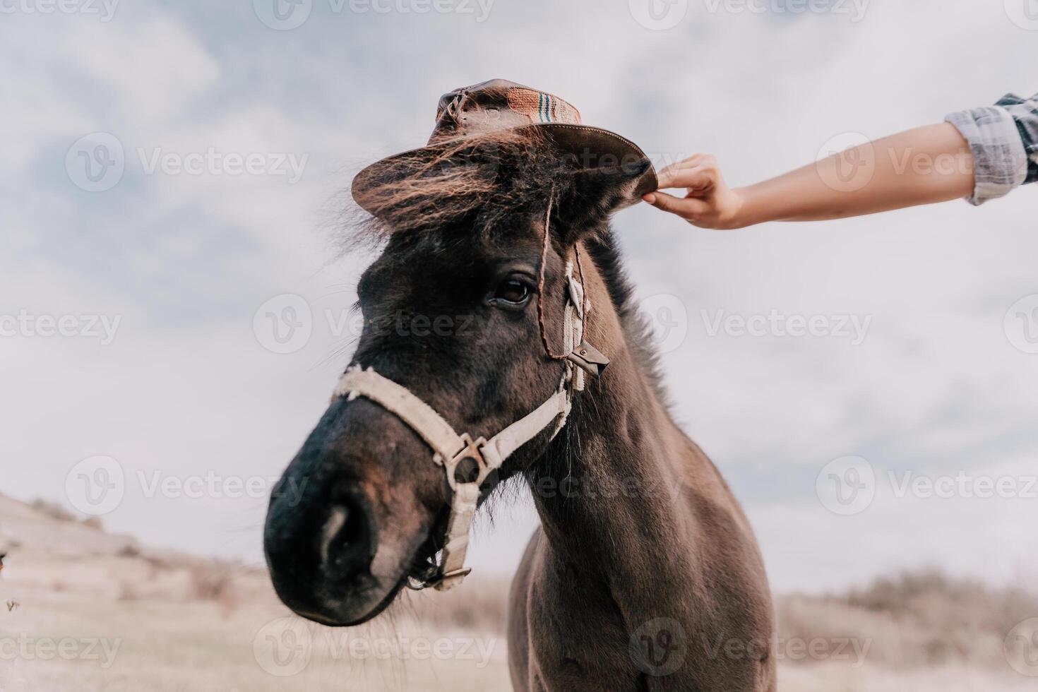 ung Lycklig kvinna med henne ponny häst i kväll solnedgång ljus. utomhus- fotografi med mode modell flicka. livsstil humör. oncept av utomhus- ridning, sporter och rekreation. foto