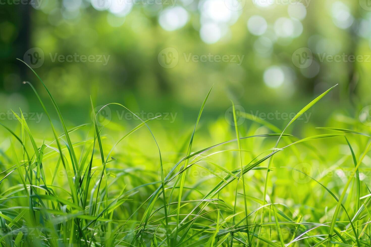 ai genererad vibrerande grön gräs blad täckt i gnistrande vatten droppar foto