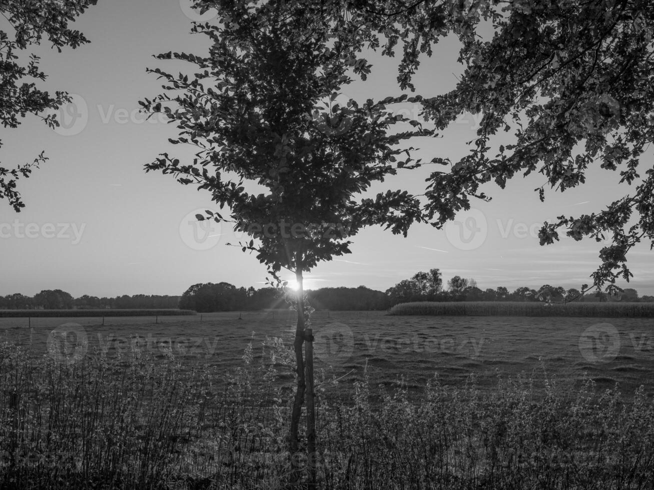 Westfalen i Tyskland foto