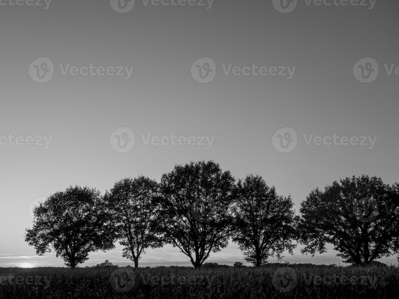 Westfalen i Tyskland foto