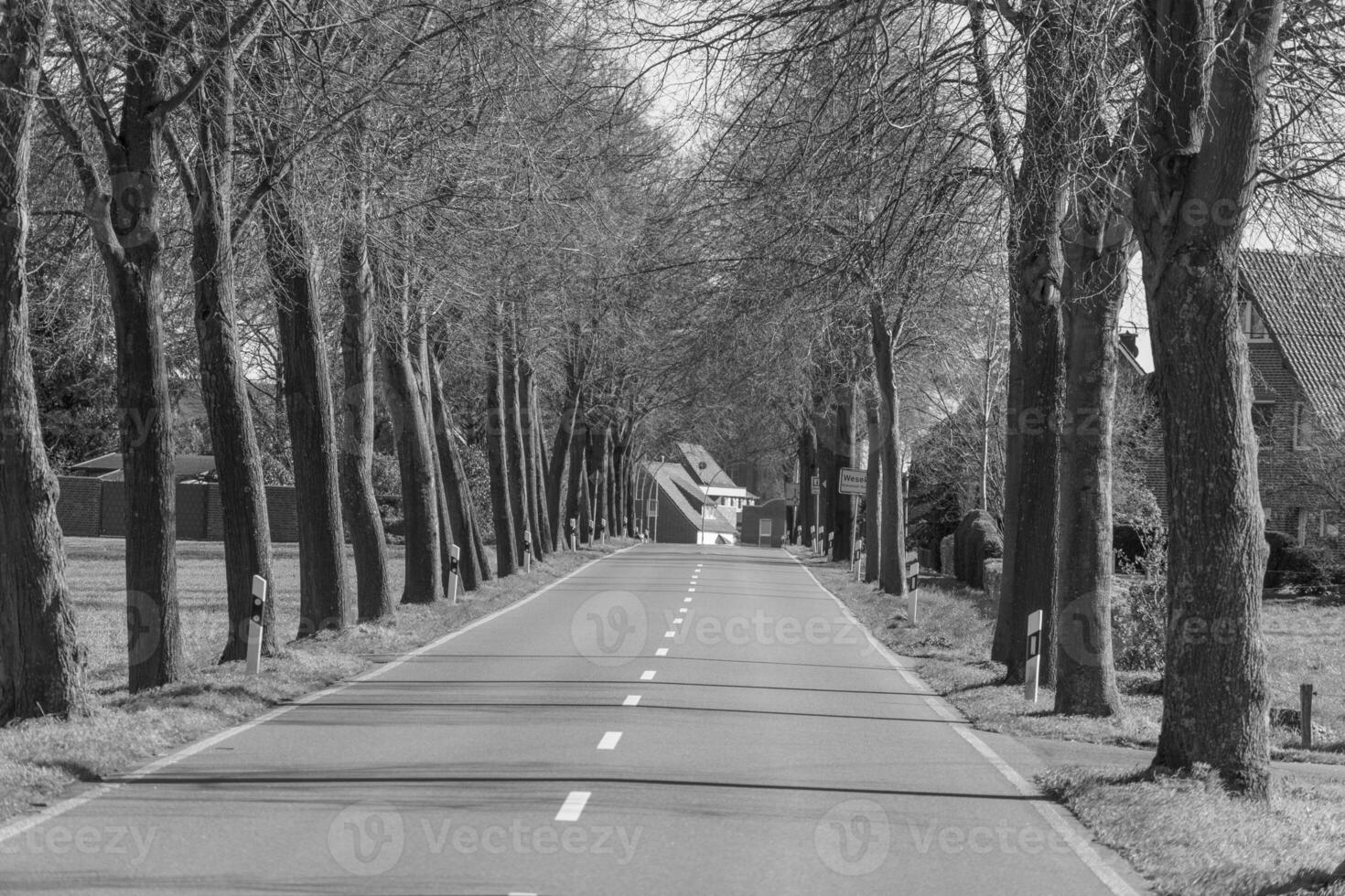 weseke i Westfalen foto