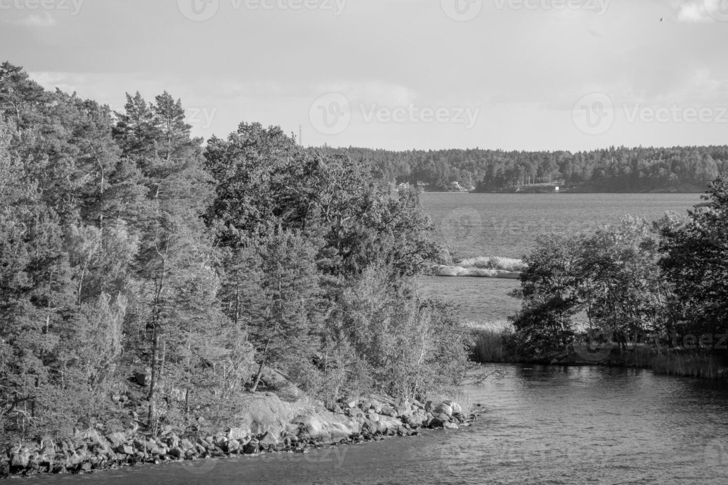 baltic hav i Sverige foto