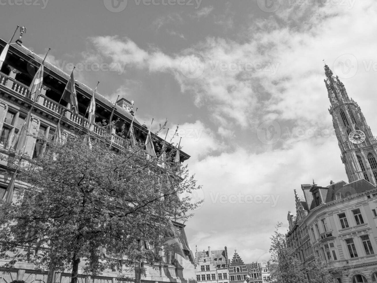 antwerpen stad i belgien foto