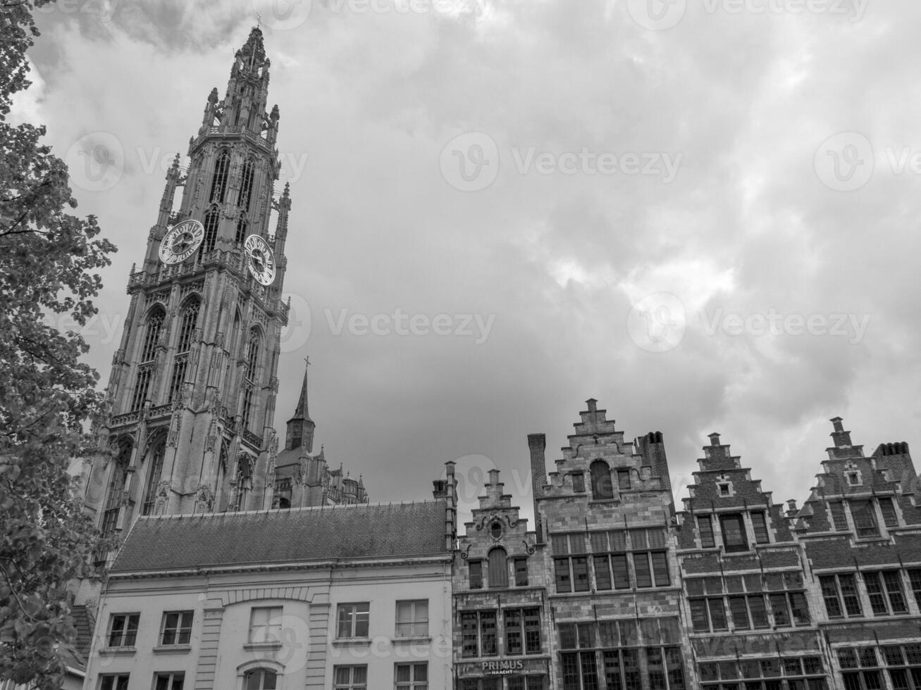 antwerpen i belgien foto