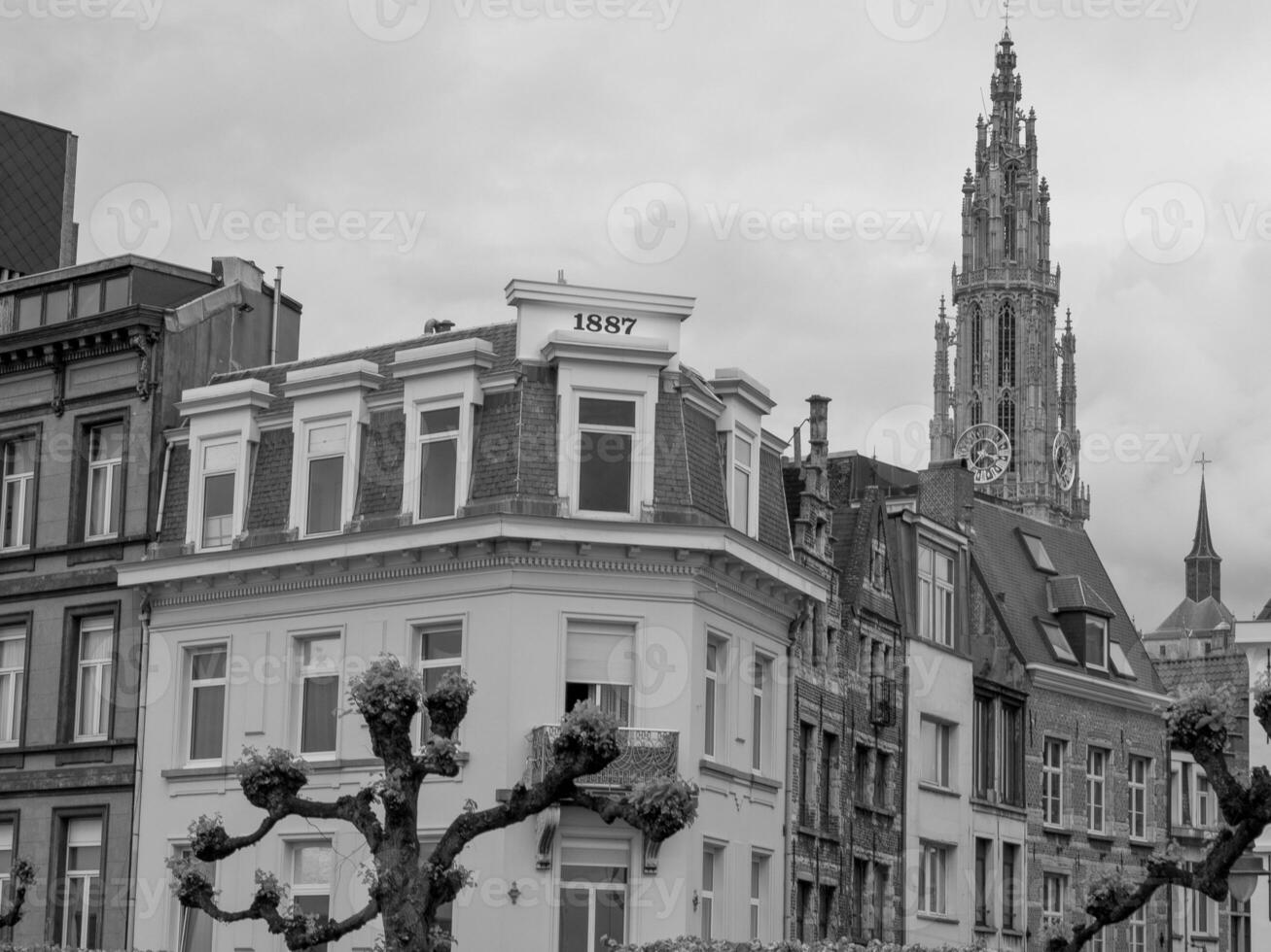 antwerpen i belgien foto