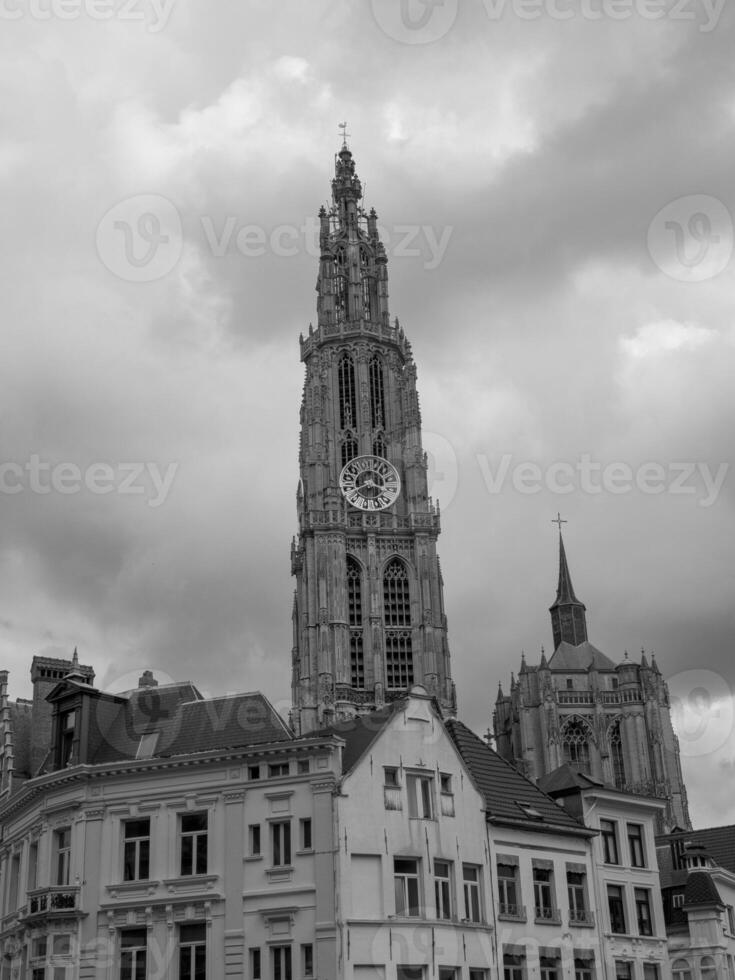 antwerpen i belgien foto