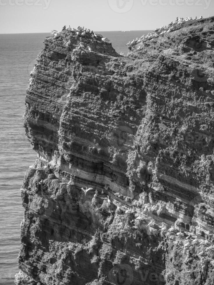 helgoland ö Tyskland foto