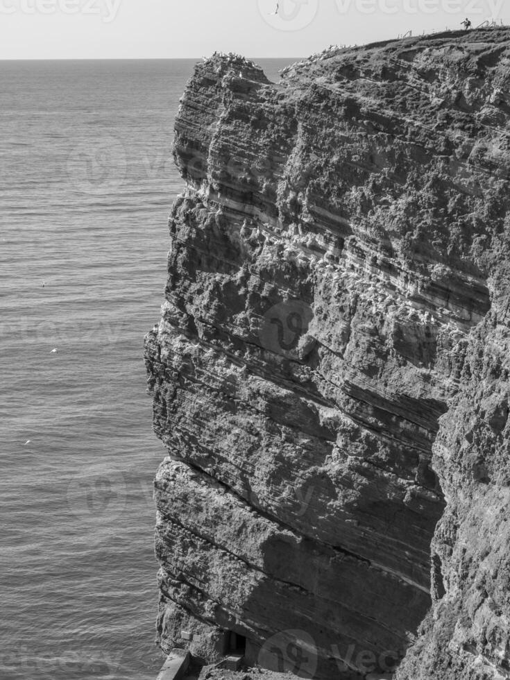 helgoland ö Tyskland foto