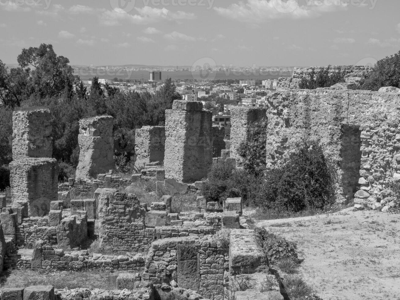 tunis i tunisien foto