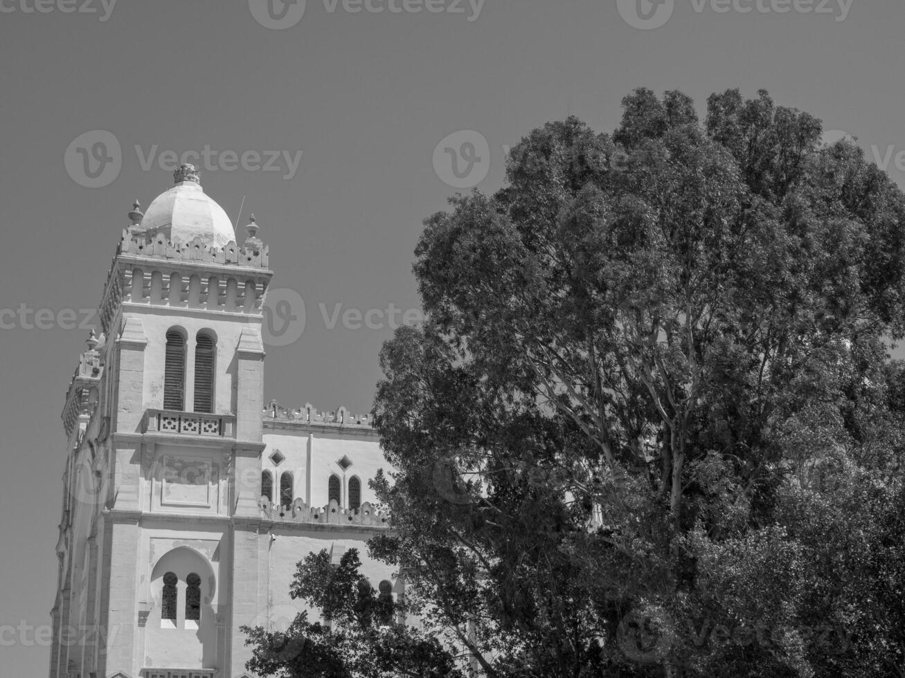 tunis i tunisien foto