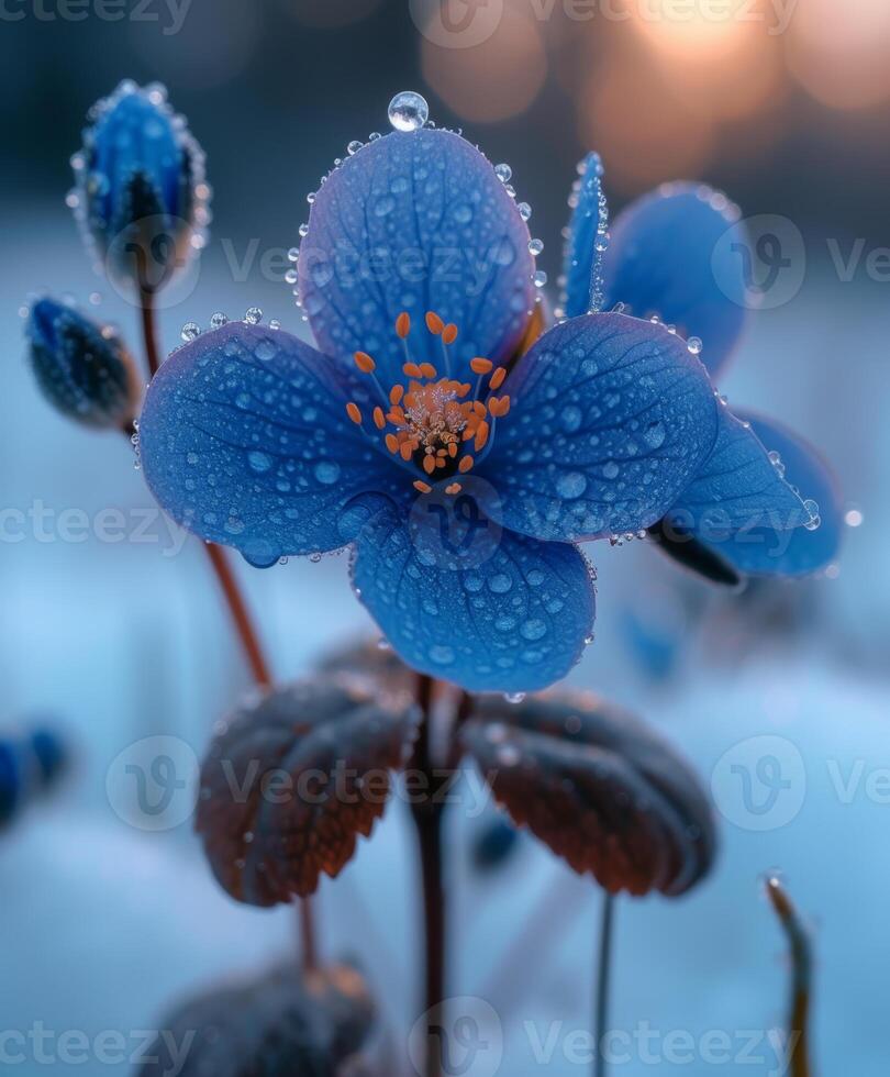 ai genererad blå blommor i de snö. mikro bild av blommor på de snö foto