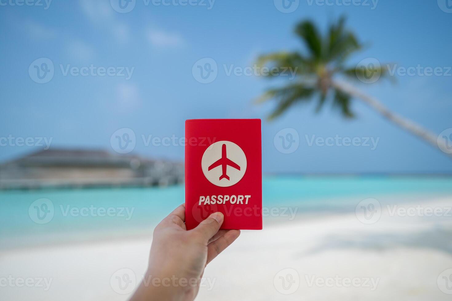 hand innehav pass med hav se bakgrund. foto