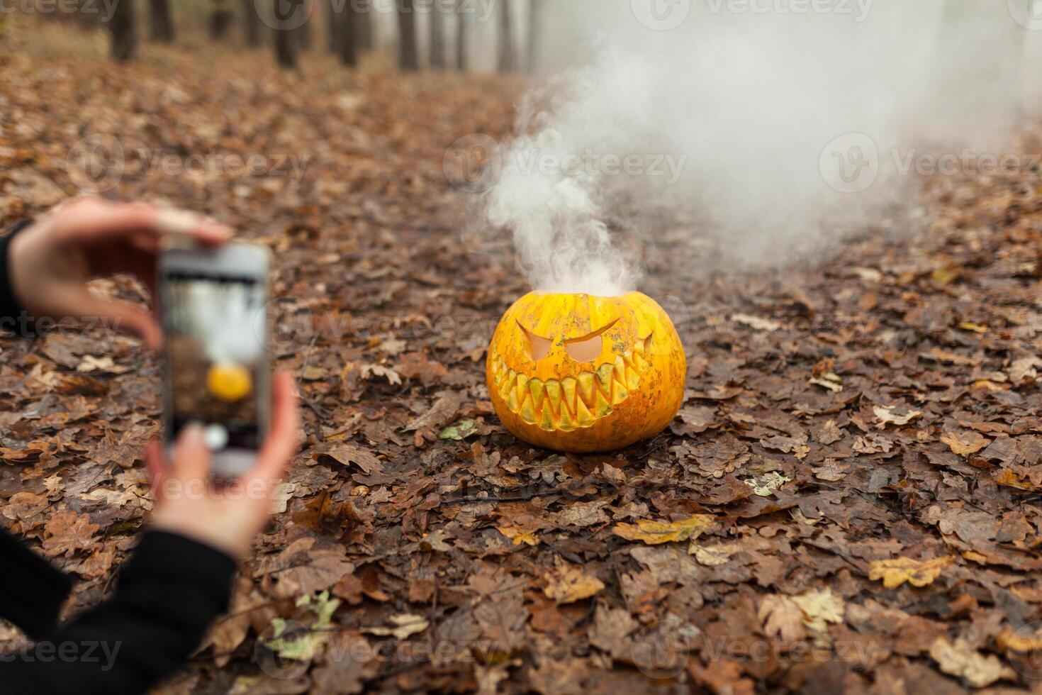 hand innehav telefon och tar Foto av pumpa och blad. Instagram bloggande begrepp. halloween eller tacksägelse falla Semester. Plats för text. mysigt humör höst