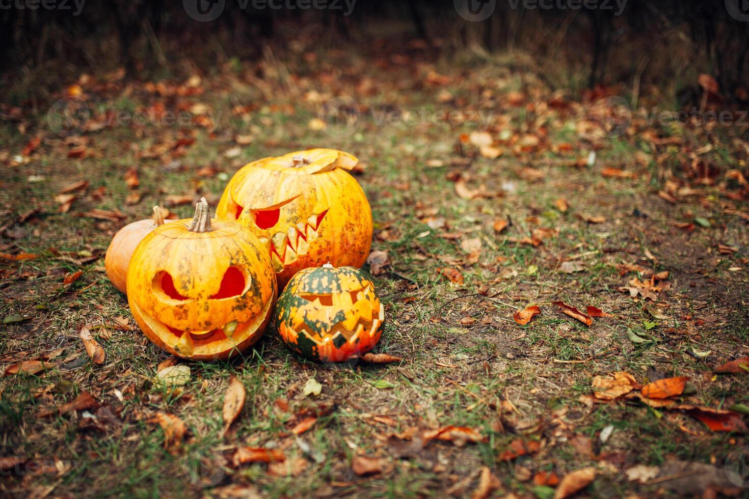 pumpa för halloween, lampa pumpa, antik trä, fira halloween, smiley på en pumpa, höst torr löv, ljus bakgrund, rolig och arg ansikte foto