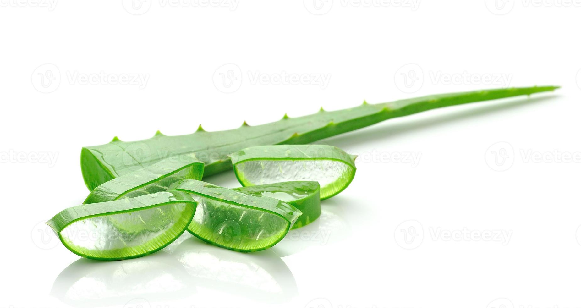 aloe vera färska blad. isolerade över vita foto