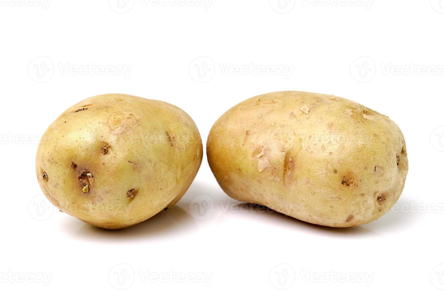 potatis isolerad på vit bakgrund foto