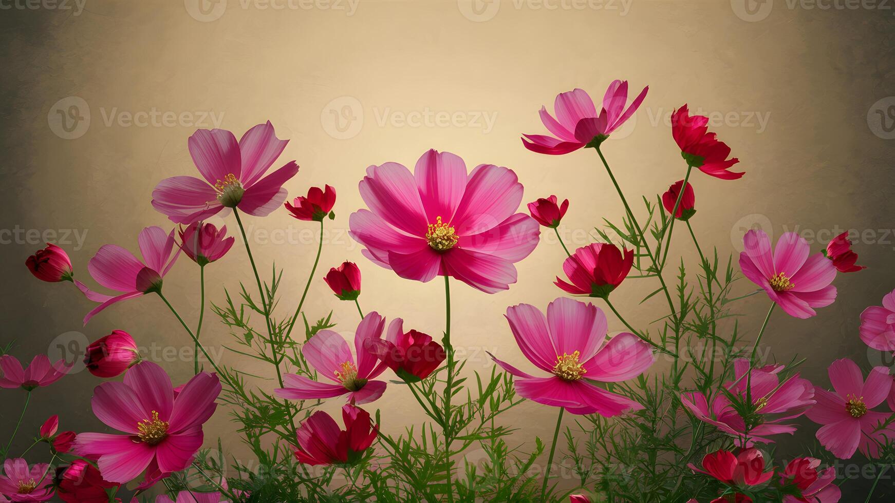 ai genererad årgång Färg tona bakgrund med skön rosa röd kosmos blommor foto