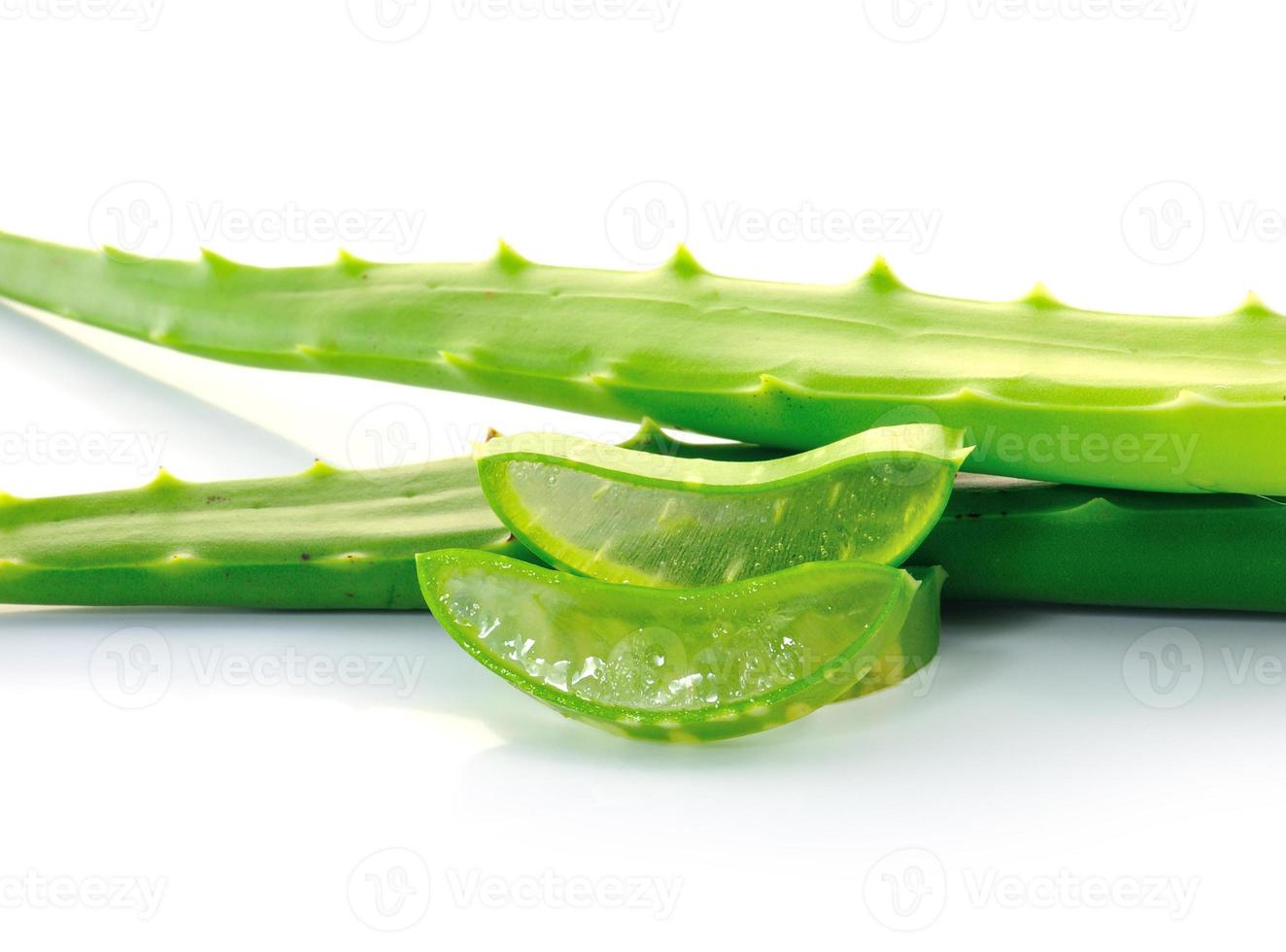 aloe vera färska blad. isolerade över vita foto