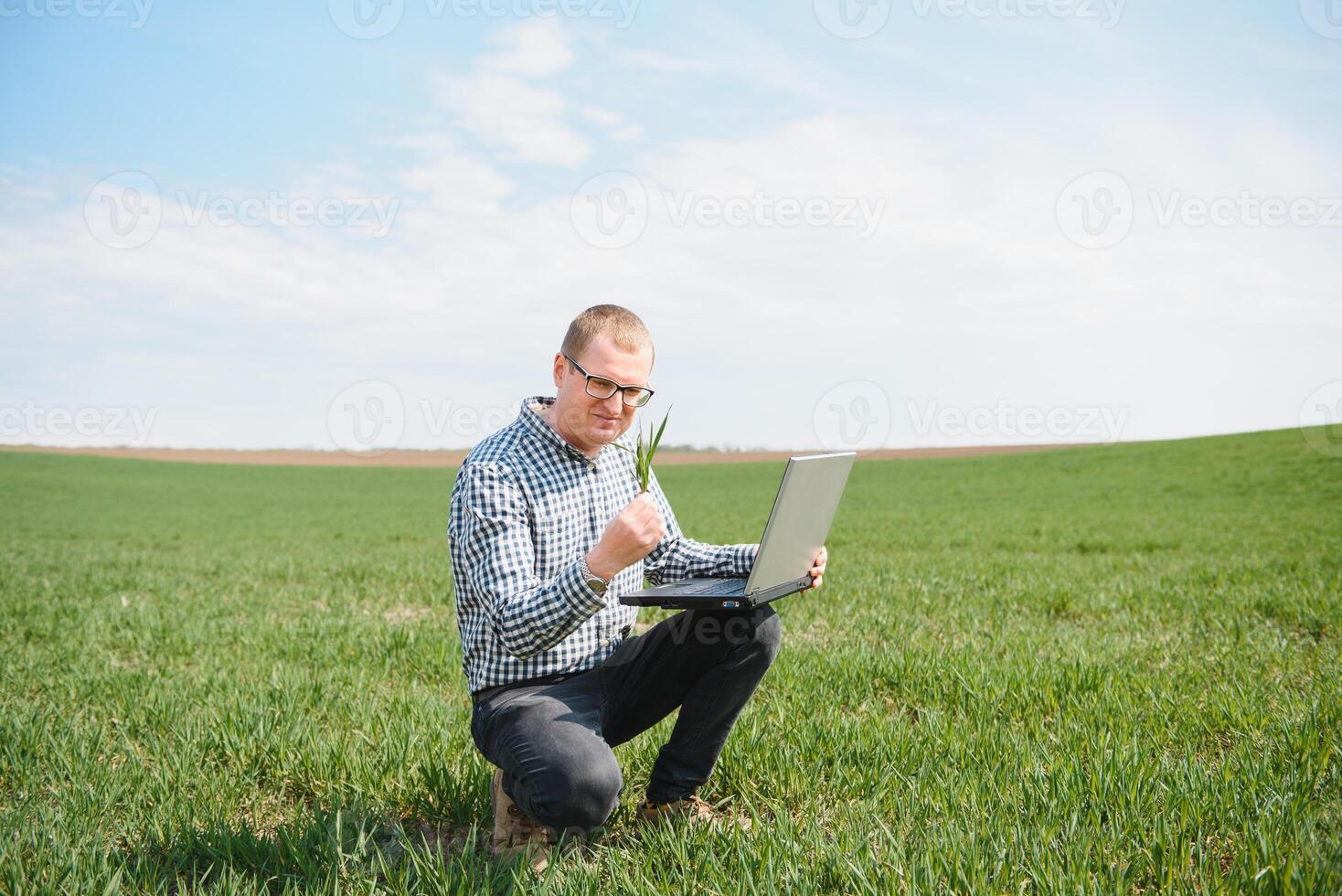jordbrukare stående i ung vete fält granskning beskära och ser på bärbar dator. foto