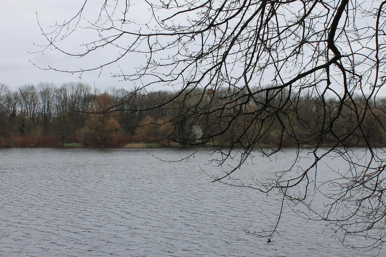 natur bakgrund Foto