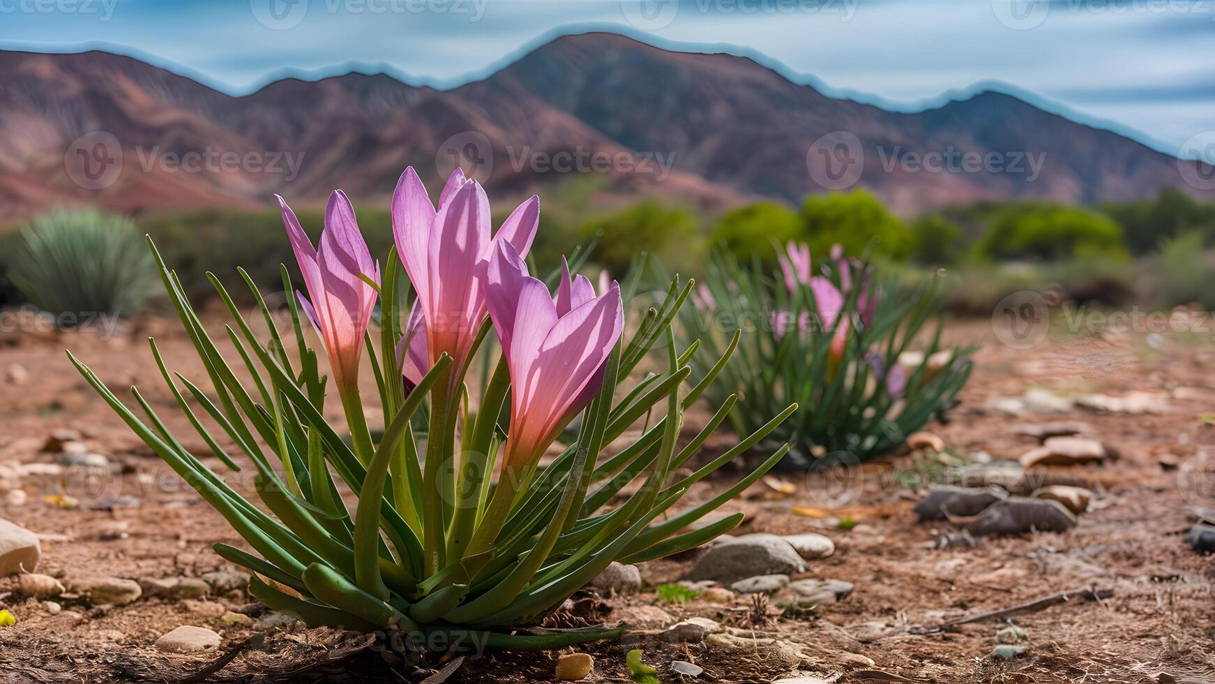 ai genererad blomma blooms i de öken- symbolisera hoppas och elasticitet foto