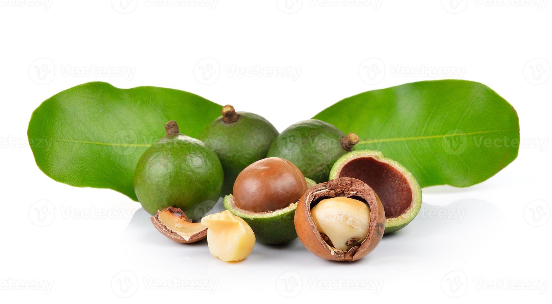 färsk macadamianötter på en vit bakgrund foto