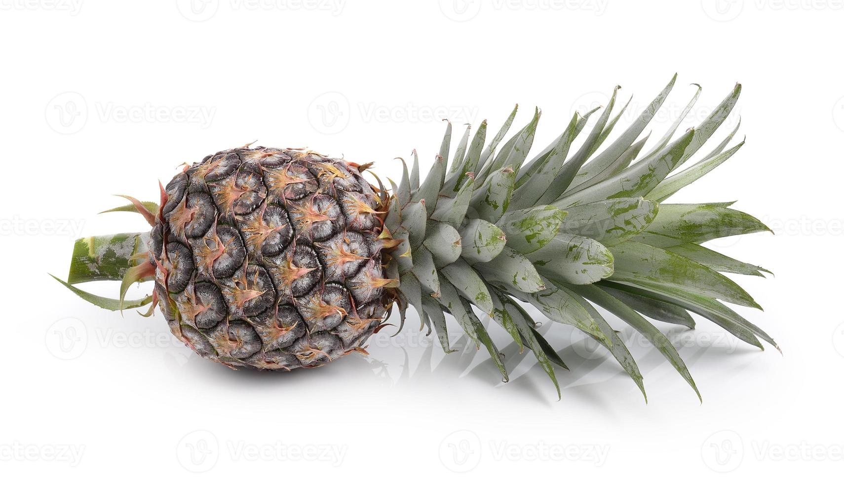 ananas på en vit bakgrund foto