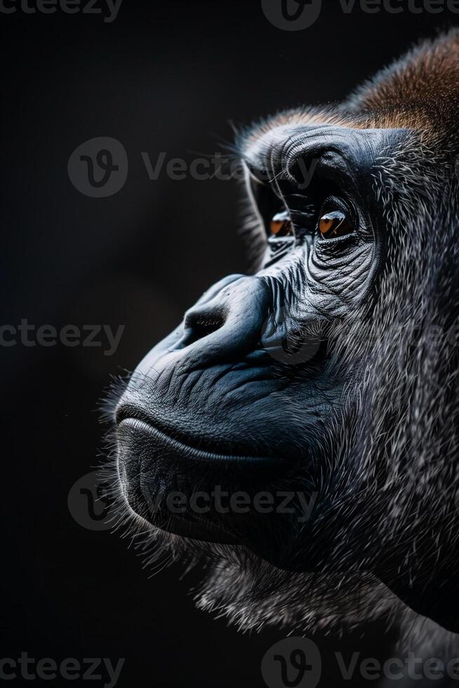 ai genererad porträtt dominerande manlig gorilla på svart bakgrund.generativ ai foto