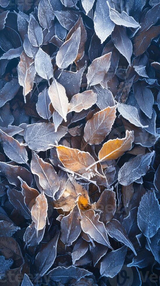 ai genererad extrem vinter- skönhet frost täckt löv i en lugn snöig miljö vertikal mobil tapet foto