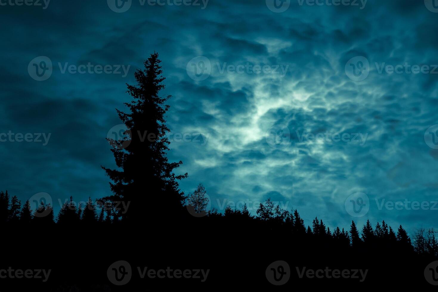mystisk natt, silhouetted skog träd under de full måne och molnig himmel. foto