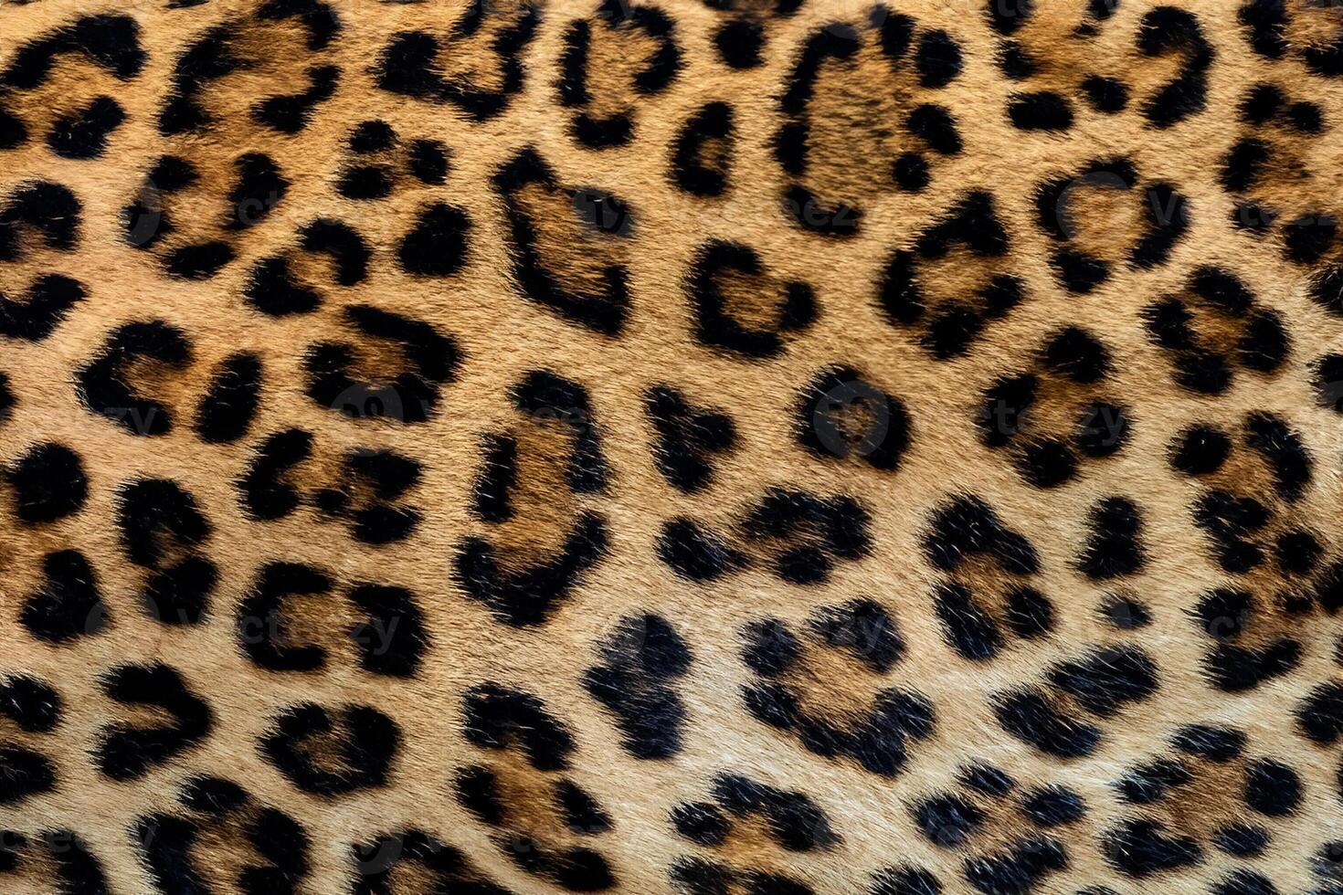 stänga upp, utsökt leopard päls textur. foto