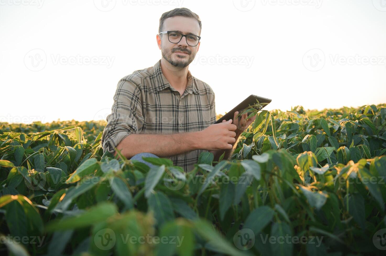 jordbrukare agronom i sojaböna fält kontroll gröda. organisk mat produktion och odling foto