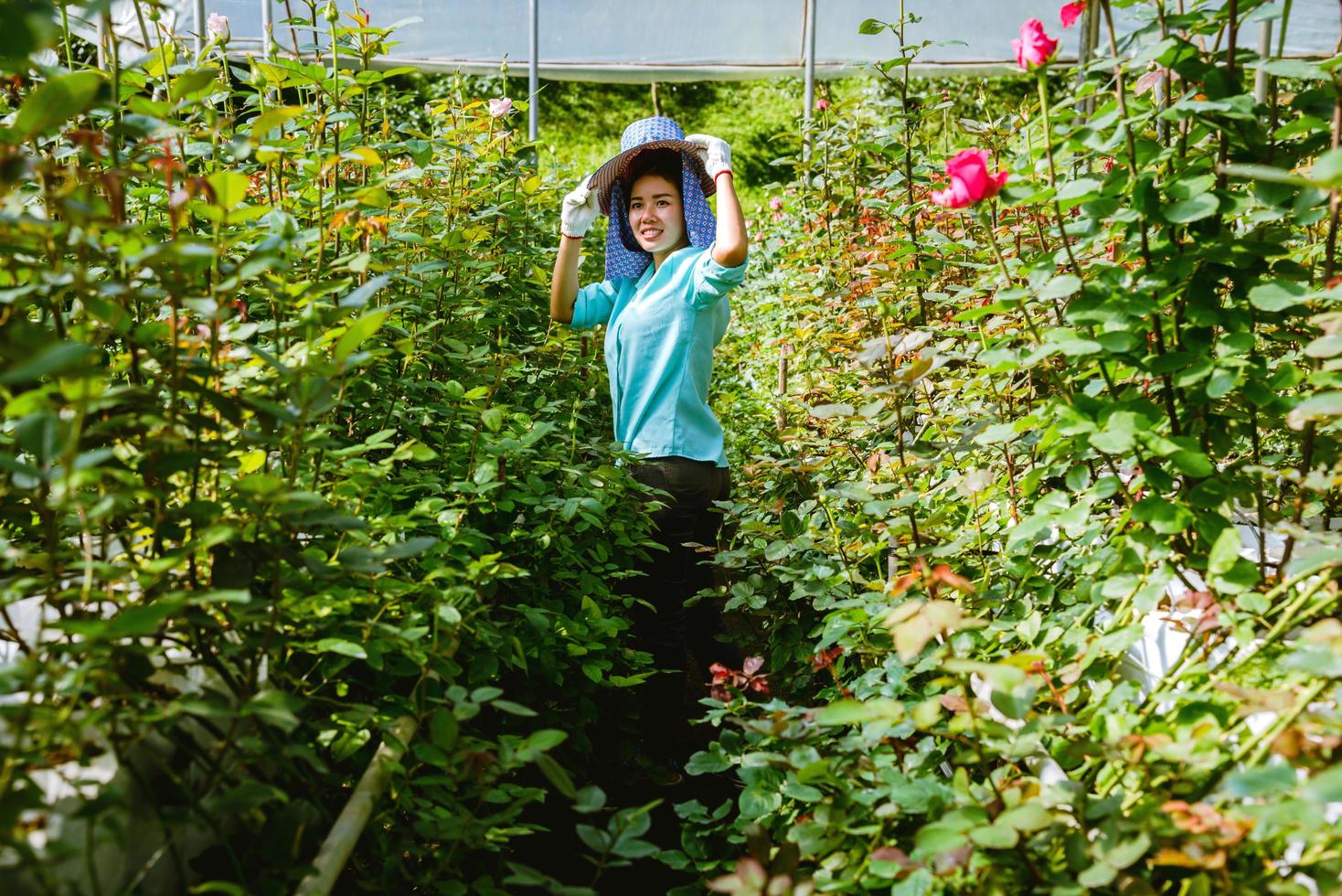 asiatiska kvinnor bönder rosenträdgården. trädgårdsarbetare tar hand om rosorna. lantbruk foto