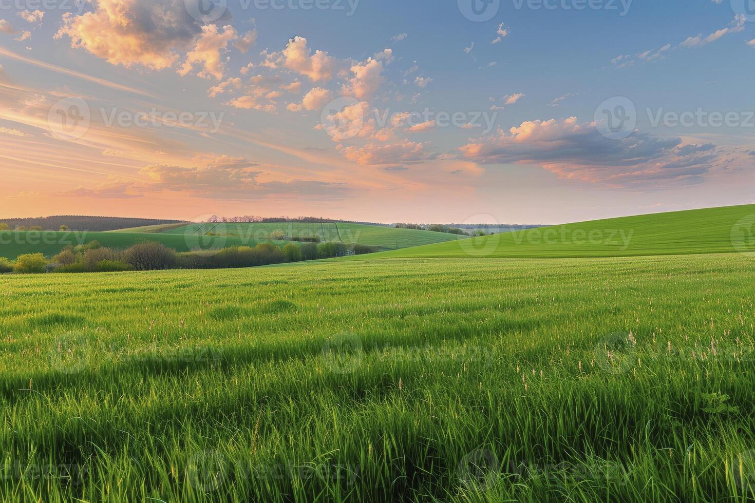 ai genererad fattande vår lugn, en landskap nåd förbi frodig grön fält och de naturlig skönhet av de säsong lutning foto