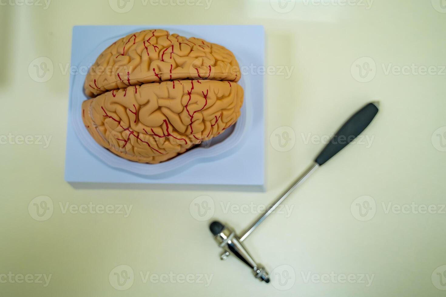 hjärna modell på de tabell. neurokirurgi begrepp. neurokirurgi hummer. foto