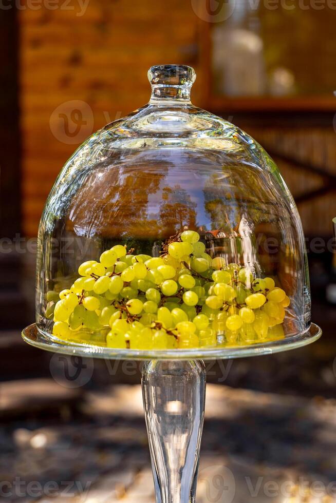 knippa av grön vindruvor frukt i glas maträtt på suddig bakgrund. kupol glas omslag. närbild. foto